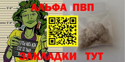 крисы Гагарин
