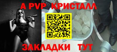 крисы Гагарин