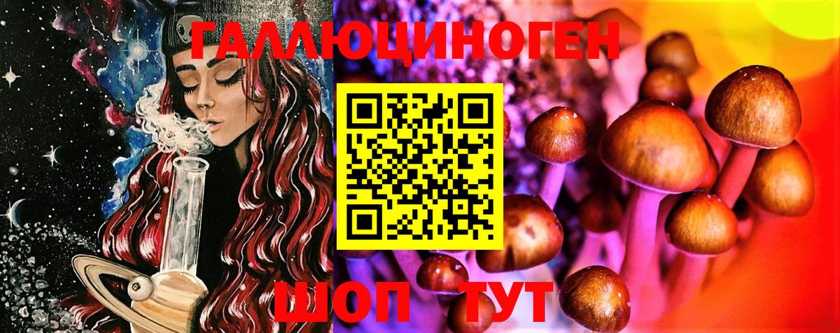 Псилоцибиновые грибы Psilocybe  Галлюциногенные грибы MAGIC MUSHROOMS  Саратов 