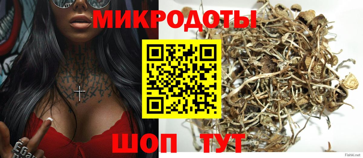 Галлюциногенные грибы прущие грибы  Вход с VPN  Галлюциногенные грибы мицелий  Саратов 